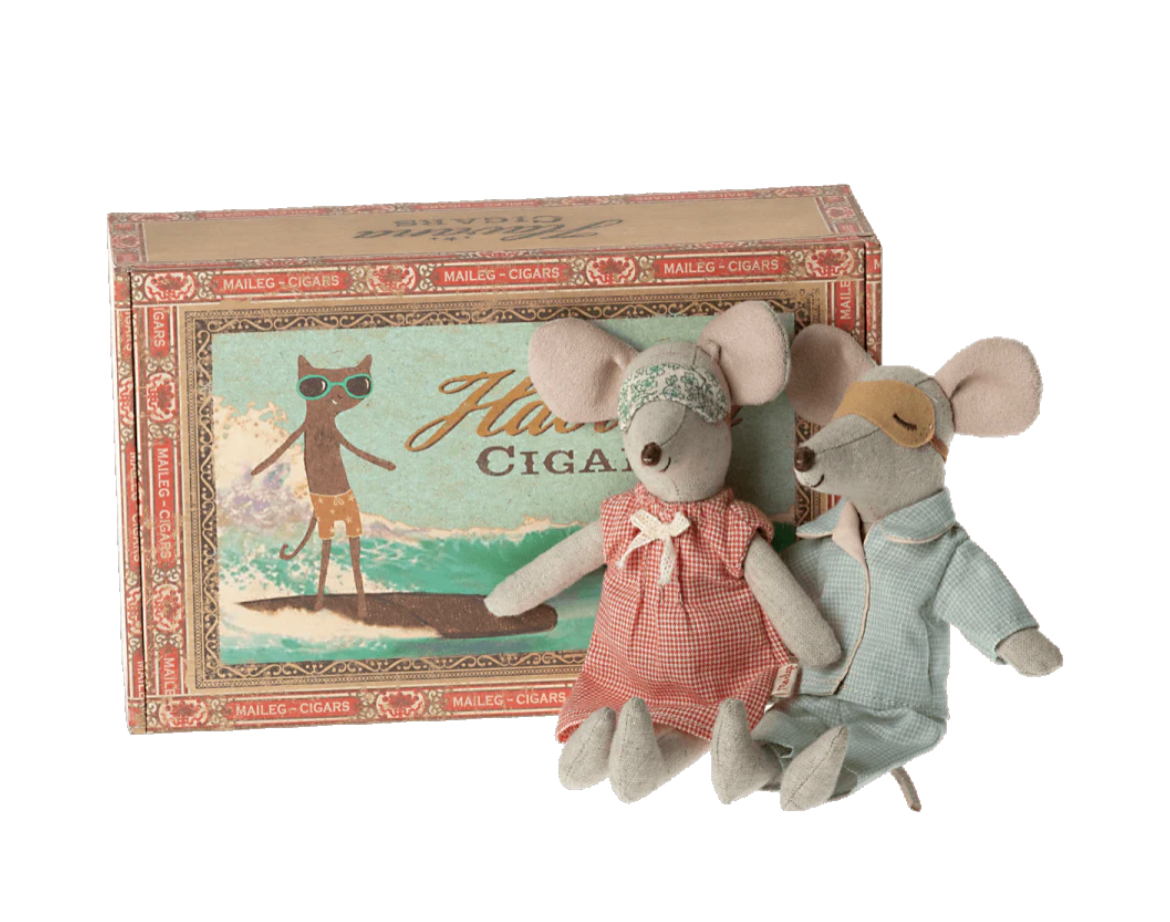 Mum and Dad Mice in Cigar Box
