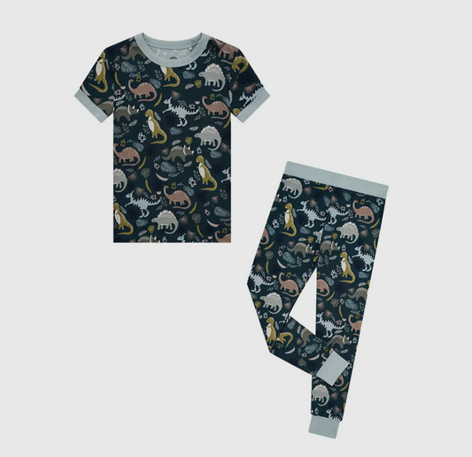 Prehistoric Friends Dinosaur
Kids Clothes Bamboo Pajamas
Sleep Set